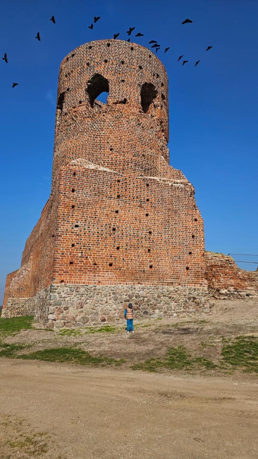 Gold Koło